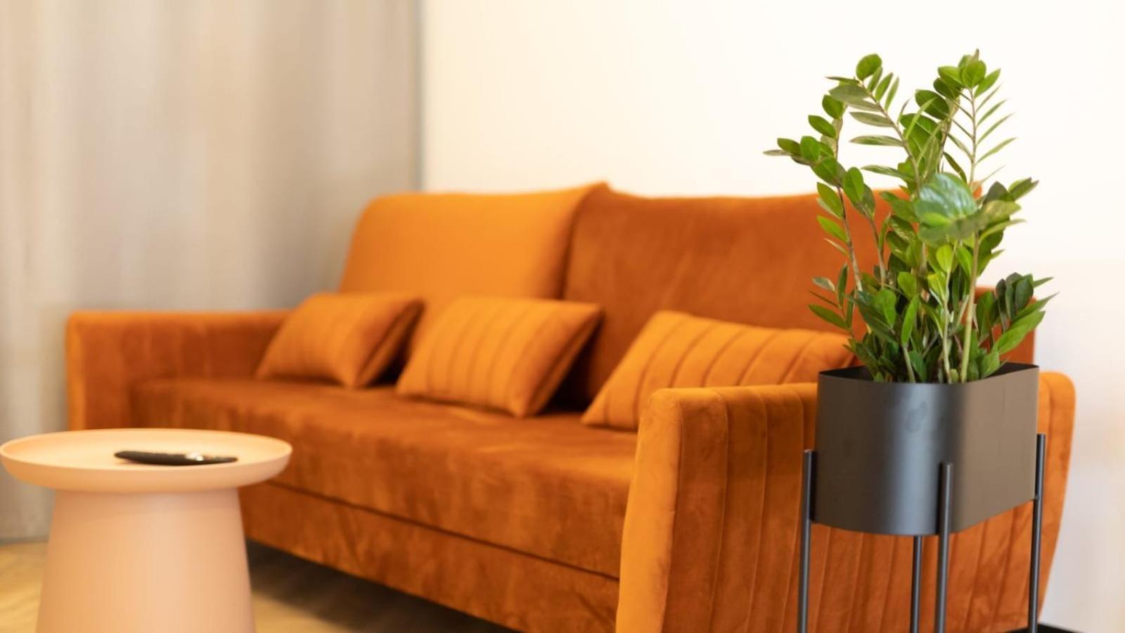 Apartments Abcd 比亚瓦波德拉斯卡 外观 照片